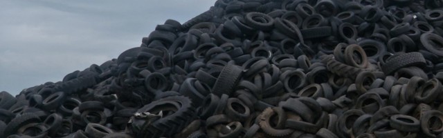 Reporter: Raadi prügihunnik koristatud! Rehve oli üle 13 tonni