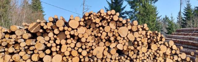 Euroopa Kohus pidas raie peatamist põhjendatuks