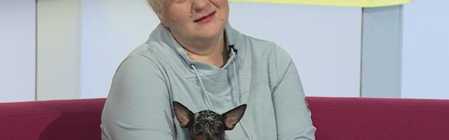 Praha raevukast rotipüüdjast on tänapäeval saanud nunnu sülekoer