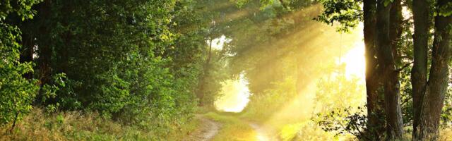 Valitsus kiirendab Saatse saapa ümbersõidu rajamist