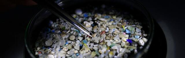 Tõeline plahvatus teadusmaailmas_ mikroplasti terviseoht osutus liialdatuks