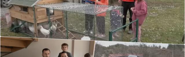 Američki san zamenili šumadijskim selom: Porodica Uzelac iz Čikaga se vratila na selo - žive na dedovini sa 5 dece