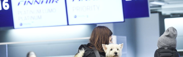 Finnairiga Soome lendajad peavad neljapäevast ette näitama koroonatesti