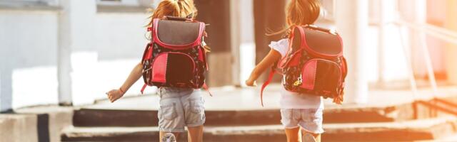 Ученице из Виймси в школе на перемене запретили говорить на русском. Мама ребенка: это перебор