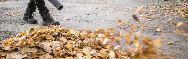 FAKTIKONTROLL | Kas Evelyn Sepal on õigus, et aastas sureb müra tõttu üle 200 tallinlase?