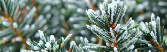 Päevahoroskoop : kolmapäev, 18. veebruar