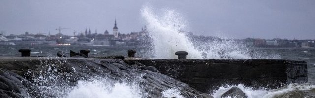 FOTOD | Torm tuleb. Tuul tuuseldas juba täna Tallinnas laineid