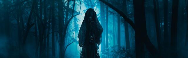 Kummalised külalised Valgamaal: umbes kaks meetrit pikad, tumedad, aga justkui läbipaistvad