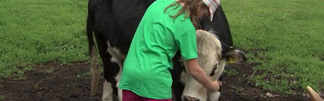 Tallinnast kõigest 10 km kaugusel asuv Soodevahe talu ootab kõiki uudistama