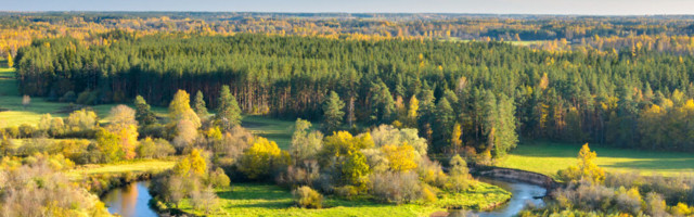 Kolumn: Maarjamaa kiituseks