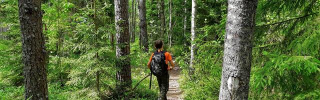 RMK korraldab looduskaitsekuul üle Eesti 62 matka