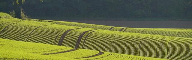 Homme saabub maamaksu ja eraisikute tulumaksu juurdemaksmise tähtaeg