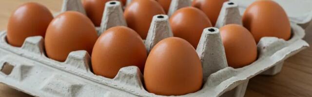 Munakarbid – väärtus, mida sa pole märganud: üllatavalt kasulikud igas kodus