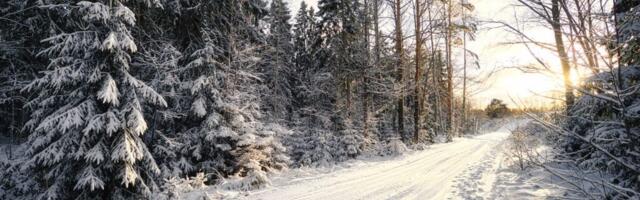 Viimsilased: kus asub valla parima profiiliga suusarada?