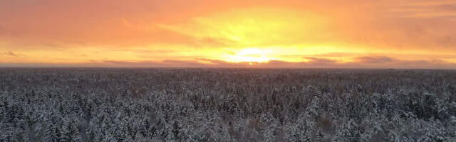 Vestman Grupp – kestlikud lahendused maa ja looduse väärtustamiseks