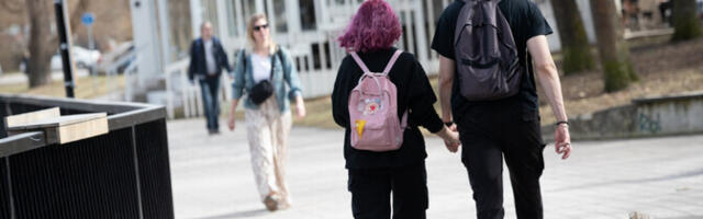 Soolised eripärad süvenevad ajus alates murdeeast