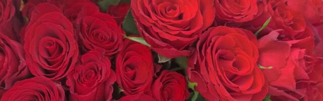 NAISTEPÄEV | Hiiumaa mees on praktiliselt romantiline