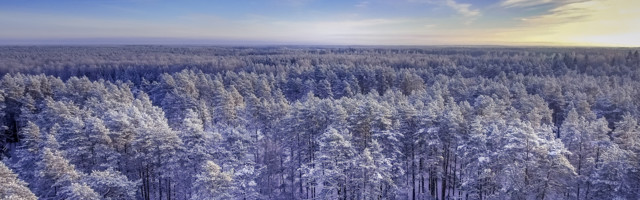 Vaba Eesti Manifest ja teade suveräänsete inimeste liidu Vaba Eesti loomise kohta