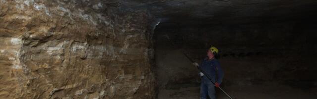 Enefit Poweri üks juhtidest peab sanktsioonide tõttu ametist lahkuma