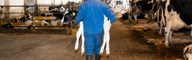 Tööinspektsioon kontrollib tänavu 2300 ettevõtet