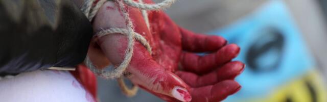 14-aastane vägistatud ukrainlanna sünnitab, sest pärast aborti ei pruugi ta enam rasestuda