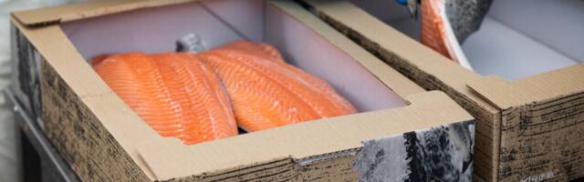 Soome puiduimport ja eksport vähenesid