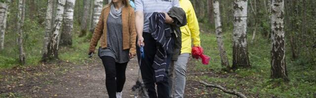 Viiendik linnast on laante all, röövraied taanduvad ja salusid tuleb üha juurde