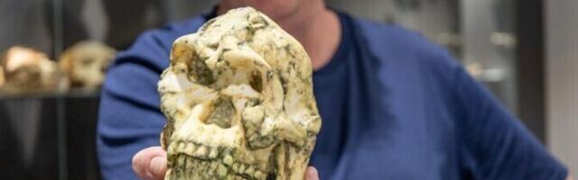 Mõistatuslik Aafrika luustik võis kuuluda seni teadmata inimliigile