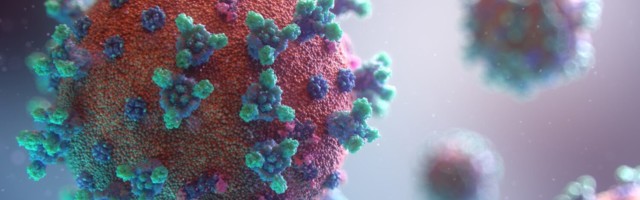 Seireuuringus hinnatakse koroonaviirusevastaste antikehade levimust täisealiste seas