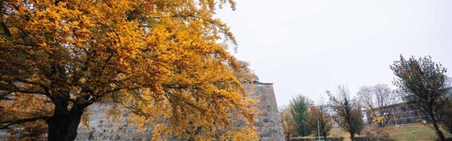 В понедельник воздух прогреется лишь до 7 градусов