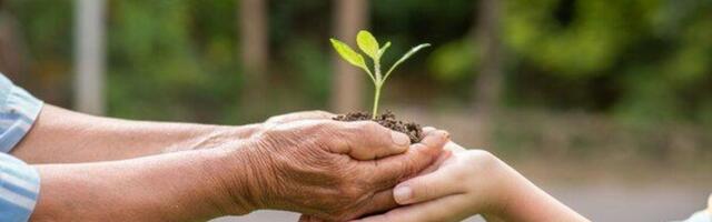 JUBA HOMME I Laupäeval osalevad Maailmakoristuspäeval tuhanded inimesed üle Eesti