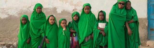 DELFI VOOG | Iisrael tunnustas esimesena Somaalimaa iseseisvust. Eesti ei kavatse sama teha