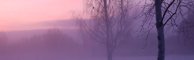 Hedvig Hanson: uus hommik – uus võimalus!