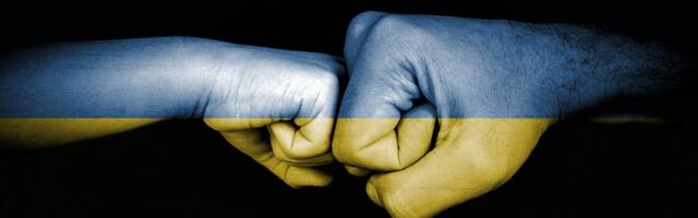 Eesti toetab Ukrainat lühimaa õhutõrjega