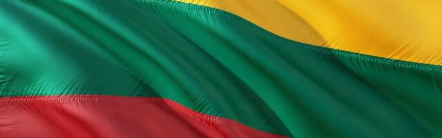 Leedu plaanib seoses Valgevene rünnakutega välja kuulutada eriolukorra