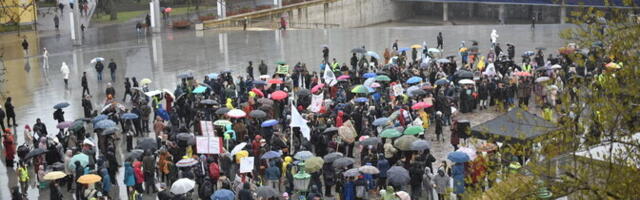 Galerii: Meeleavaldus Tallinnas kutsus üles tugevdama metsade kaitset