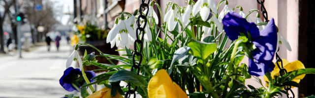 Kolmapäev püsib sajuta