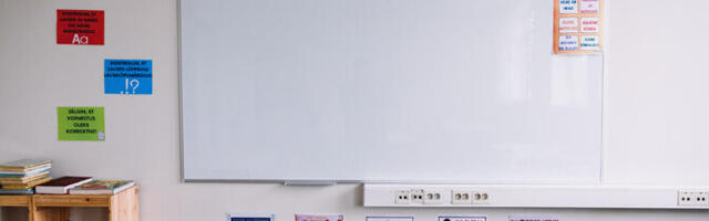 Keeleminutid. Üleminek eestikeelsele õppele: kui sõnad ei kõnele