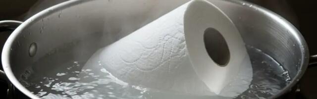 Kasta tualettpaberirull keevasse vette: sul pole aimugi, mida sa võiksid luua.