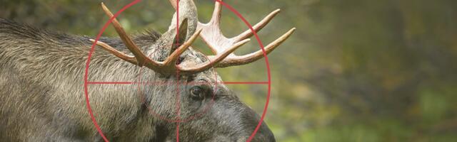 Prokuratuur esitas neljale Pärnumaa mehele süüdistuse salaküttimises