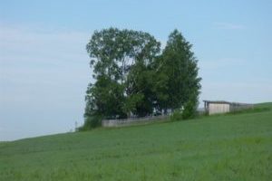 Pühapaikade eluring