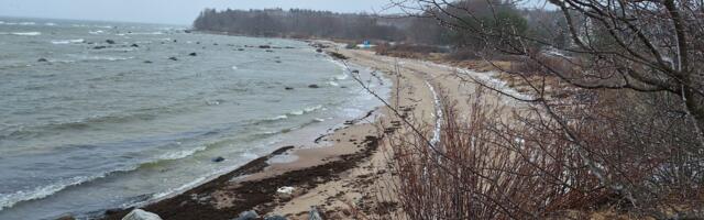 KOMMENTAARIDETA: Rohuneeme 17. märtsil 2024