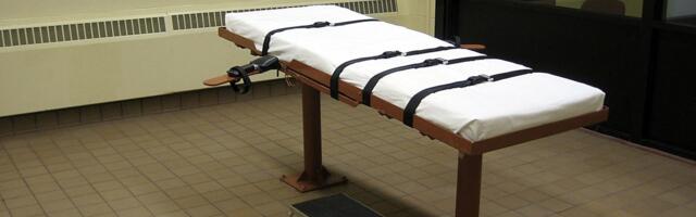 INFOLAENG | USA timukad saavad tööd juurde. 24 põhjust, miks mitte anda välja oma kodanikke