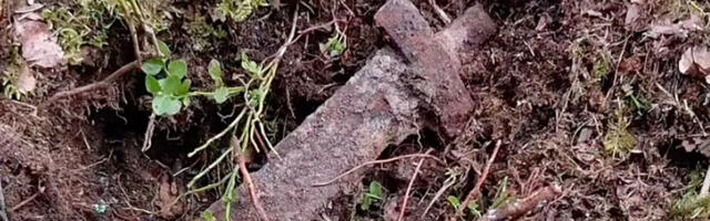 VIDEO: Ameeriklane leidis Soome metsast 1000 aasta vanuse mõõga