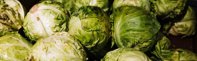 August toidupoes: köögiviljad, liha ja piim jätkasid kallinemist