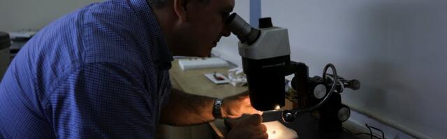 Üle 3 miljardi aasta vanustest kivimitest avastati elu jäljed. See muudab senist arusaama Maa ajaloost