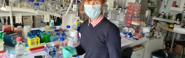 EKSKLUSIIVSED FOTOD | Koroonateadlaste köögipool – siin tehaksegi viiruse antikehade teste