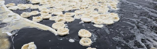 FOTOD | Koluvere lossi paisu ehivad kaunid jäätaldrikud