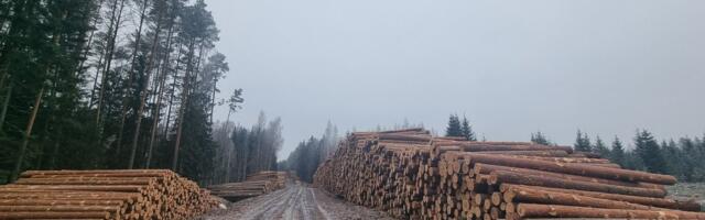 Fotod ja pöördumine: kliimaminister Kristen Michalilt oodatakse sõltumatu uurimise algatamist