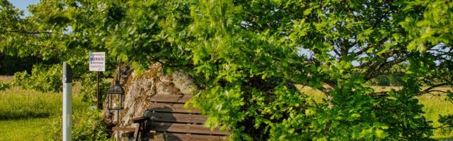 Hiite kuvavõistlusel auhinna sai foto Jõgisoo Hiiekivist